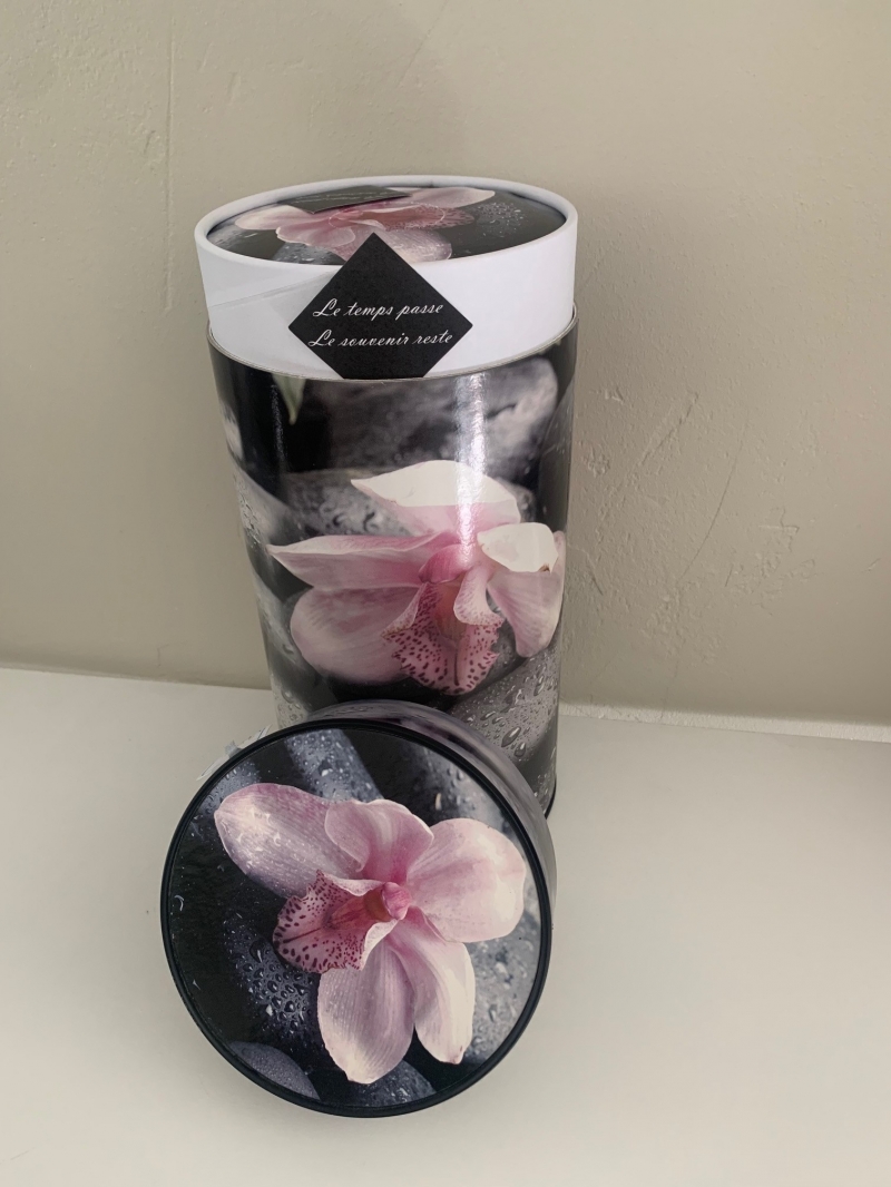 PIERRE-ORCHIDEE1
